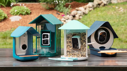 The Best Smart Bird Feeders of 2025