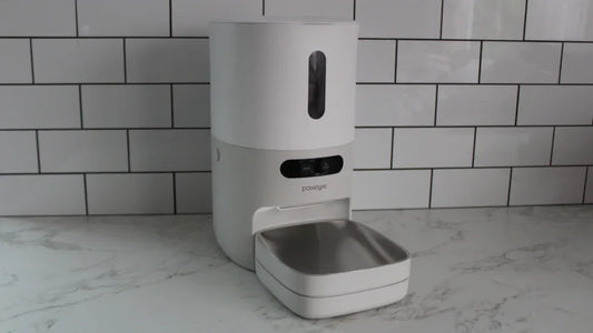 The PawSync Smart Pet Feeder is budget-friendly but is it worth it?