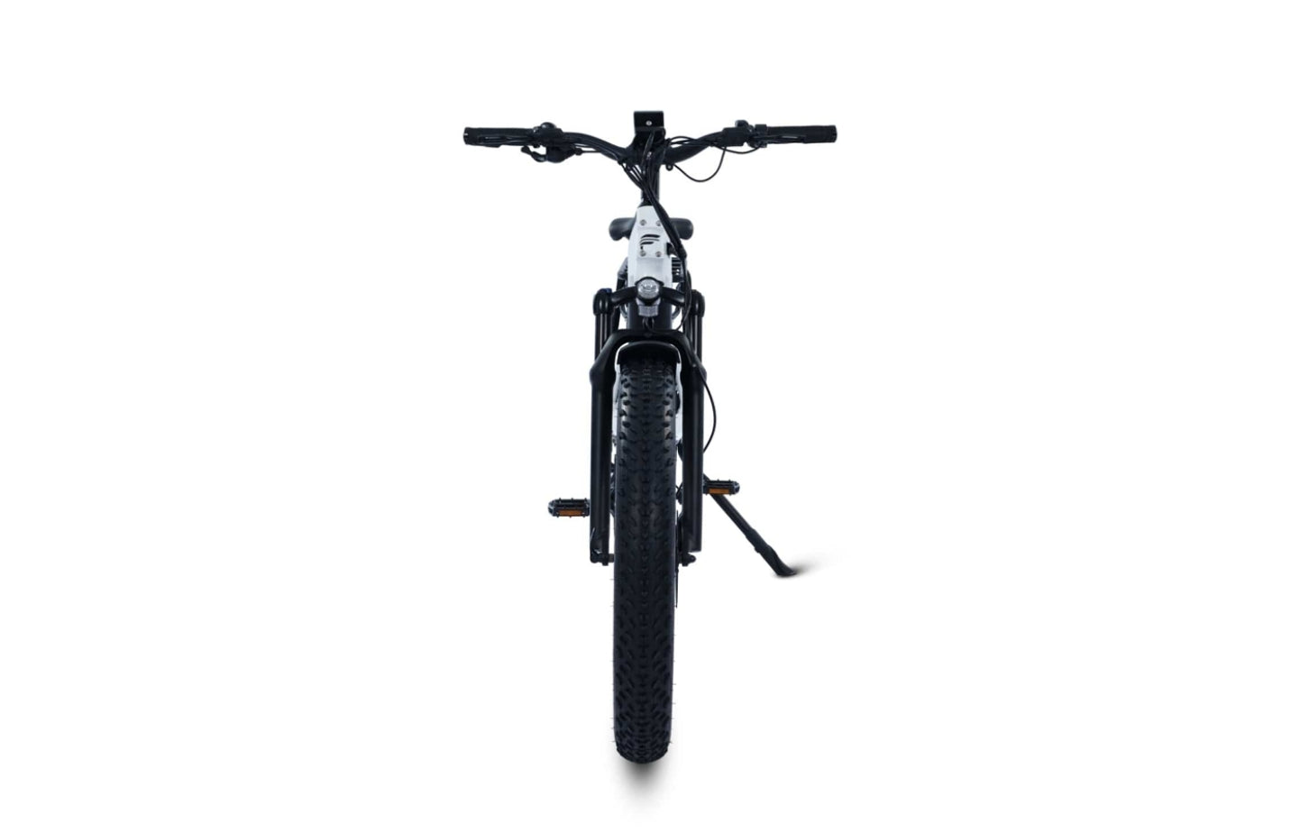 Terra All-Terrain Fat Tire eBike