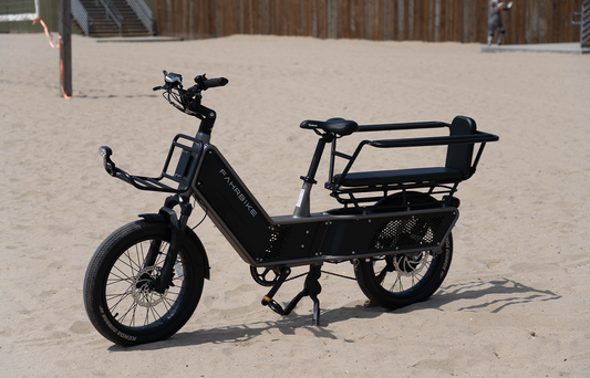UrbanCarry Pro Family Cargo eBike