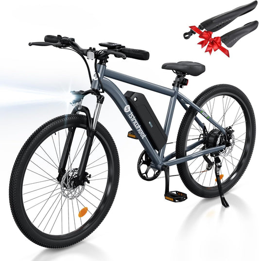 isinwheel M10 Electric Commuter Bike