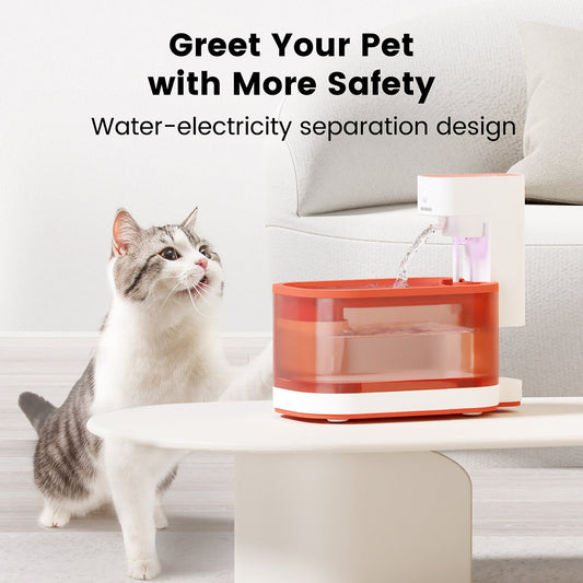Smart Feeder & Water Fountain Pro