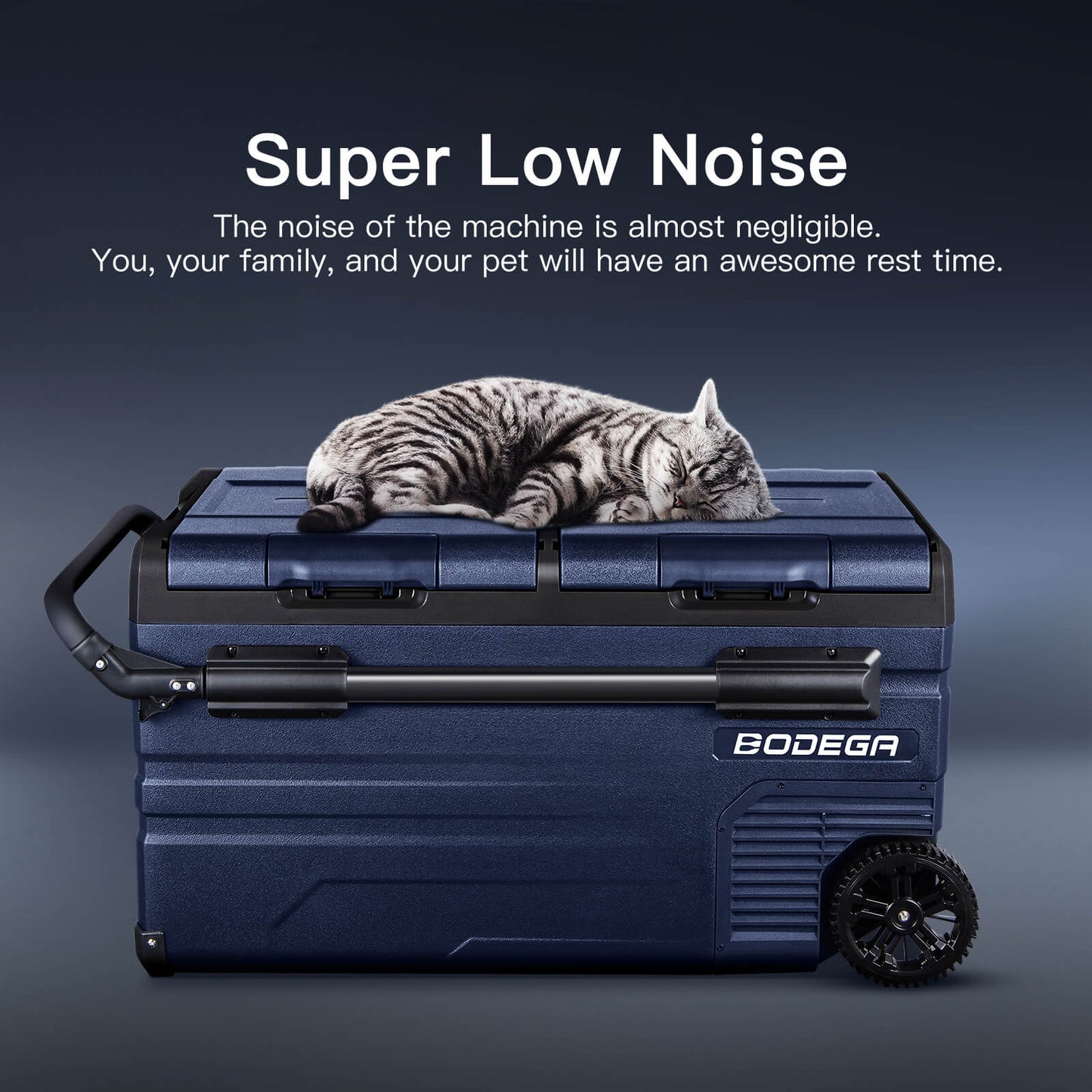 BODEGAcooler Portable Freezer 80Qt/75L With Batteries