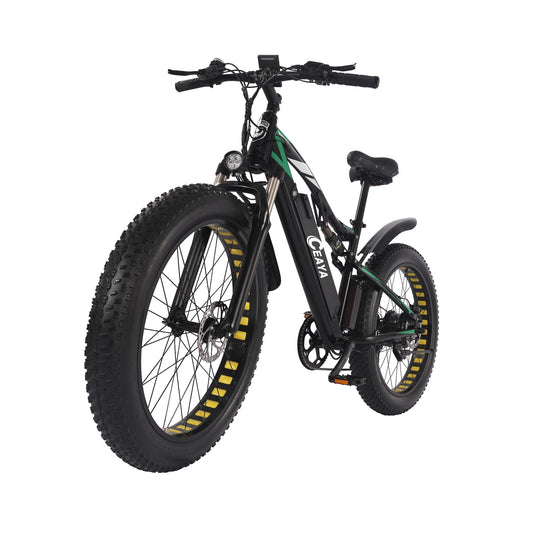 Bicicleta eléctrica CEAYA WL01