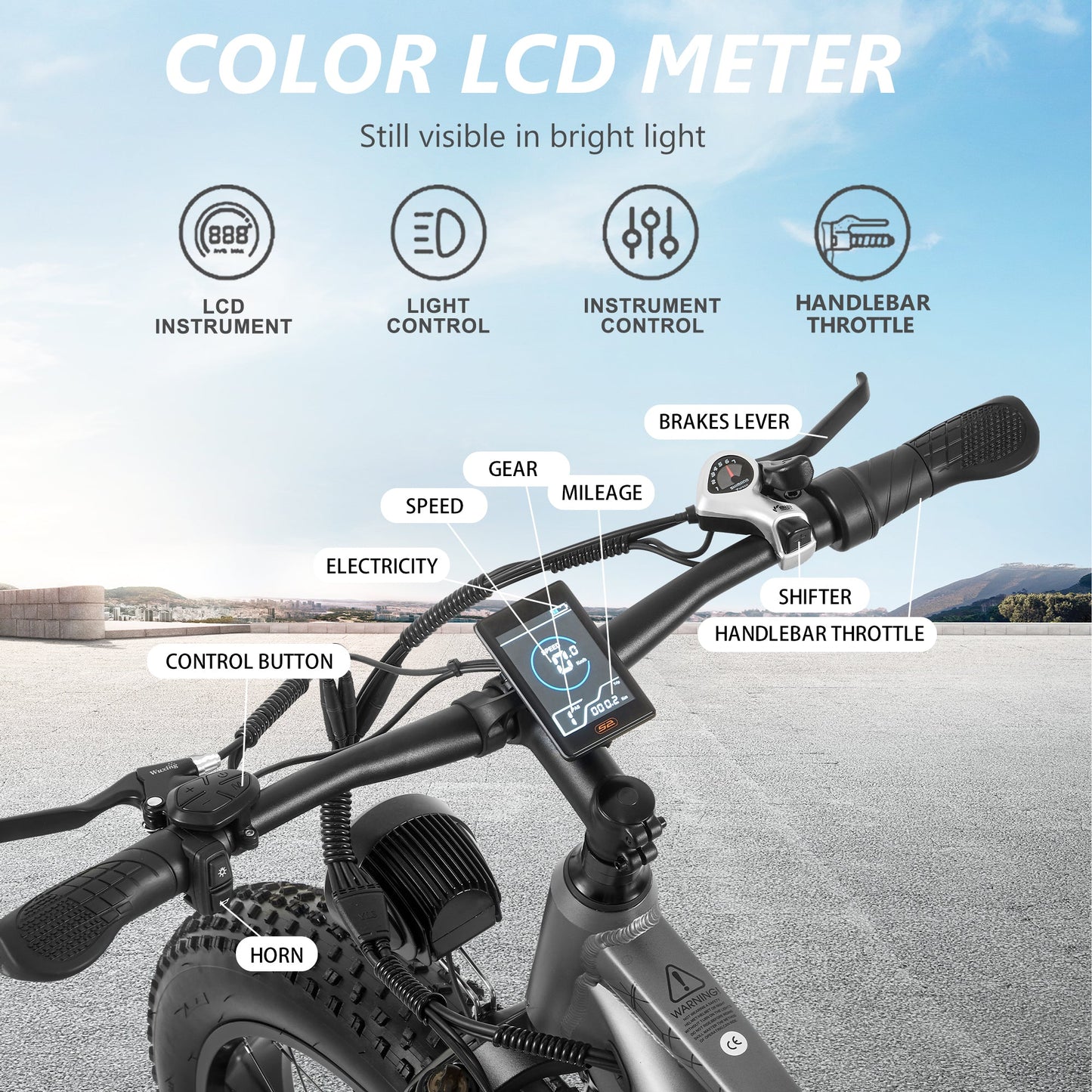 CEAYA Electric Bike RX50