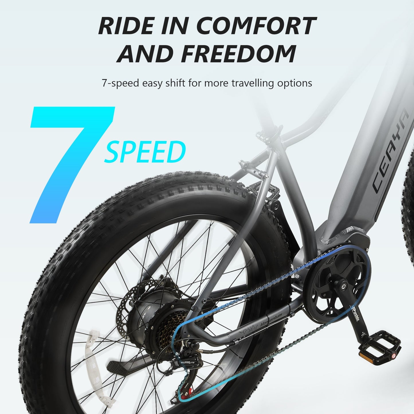 CEAYA Electric Bike RX50