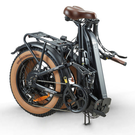 CEAYA Electric Bike A20