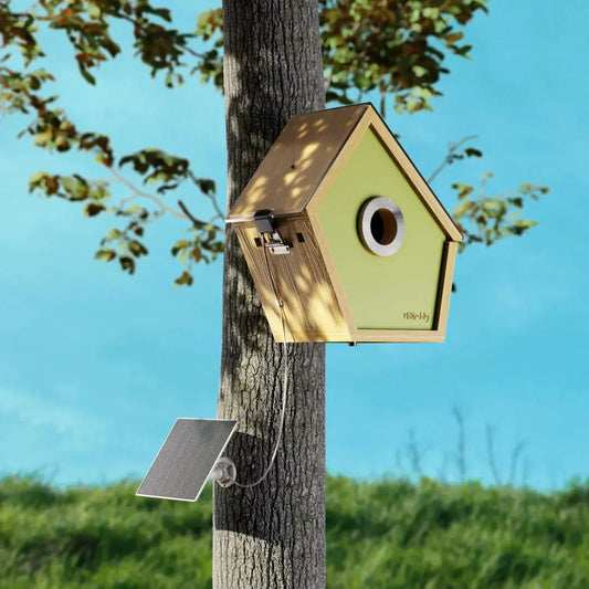 Reli Birddy Wooden Smart Birdhouse