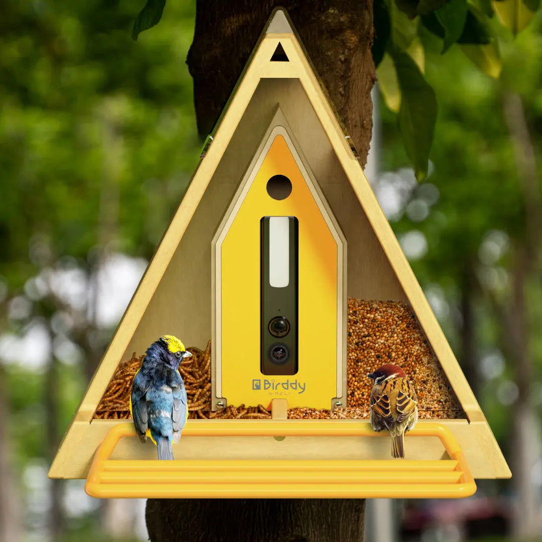 Reli Birddy Smart Feeder GreenTough™