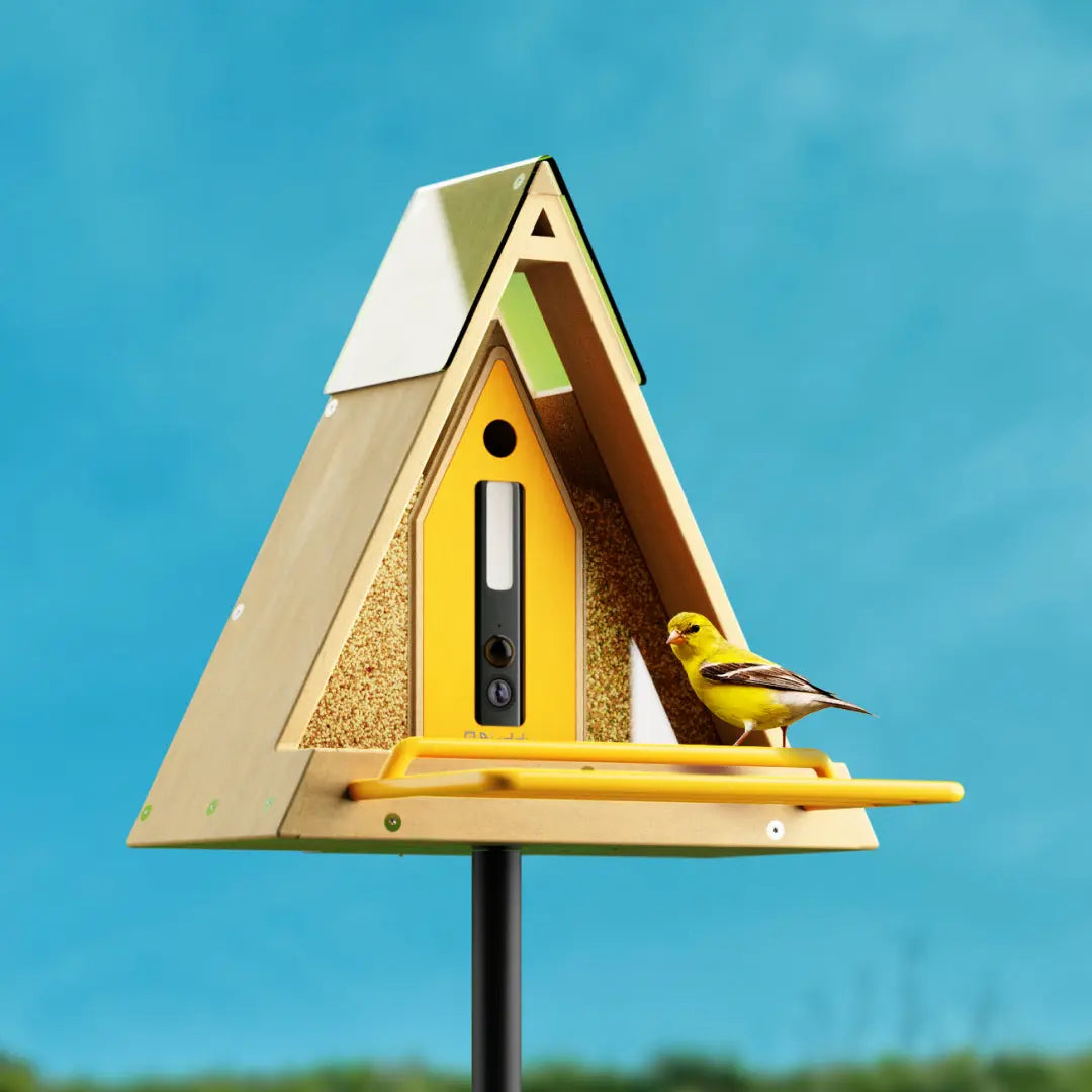 Reli Birddy Smart Feeder GreenTough™