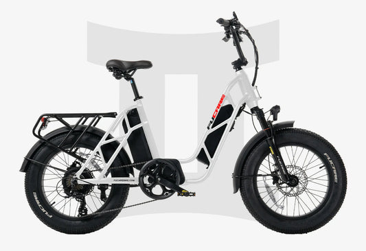 Fucare Gemini Step-Thru Electric Cargo Bike