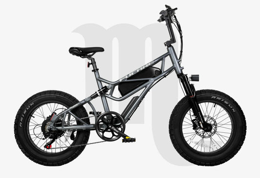 Fucare Scorpio Fat Tire Off-Road Electric Bike