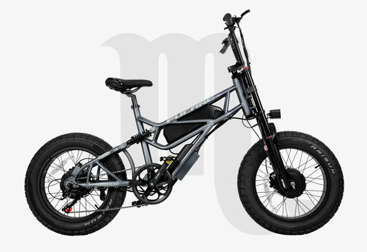 Fucare Scorpio Sport Dual Motor Full Suspension Ebike