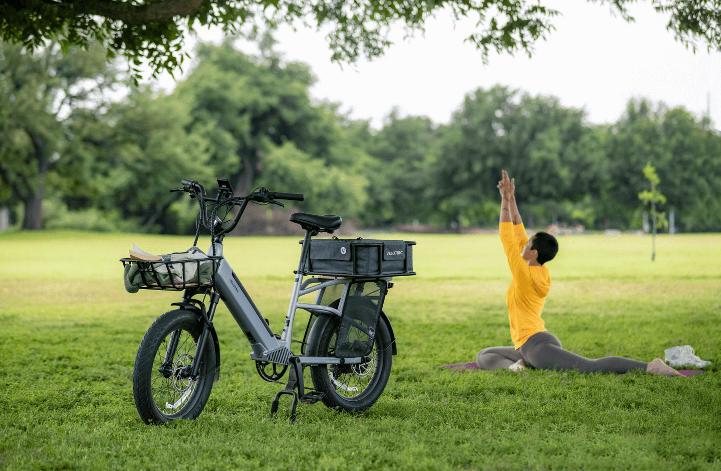 Velotric Go 1 Ebike