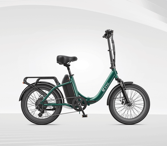 DYU C9 20 Inch Long-Range ebike