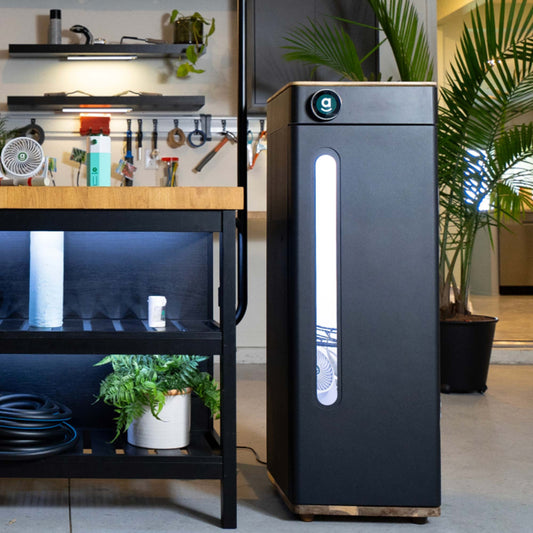 Hey abby Grow Box Black Edition