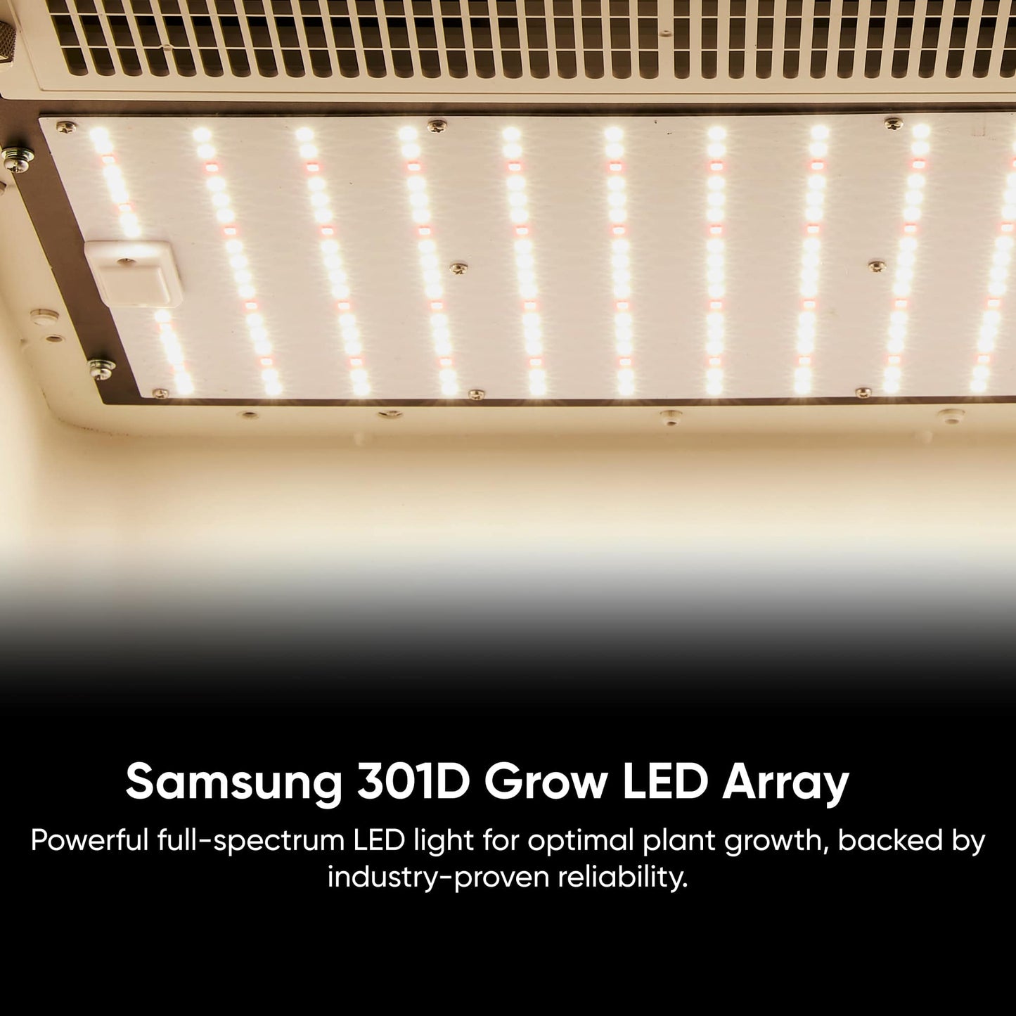 Hey abby Automated Grow Box Soil Edition