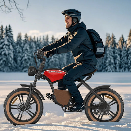 Hidoes B10 Full Suspension Electric Bike - WJ HOME