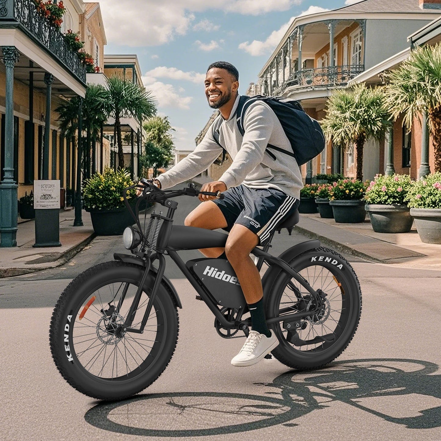 Hidoes B3 Fat Tire All Terrain E Mountain Bike