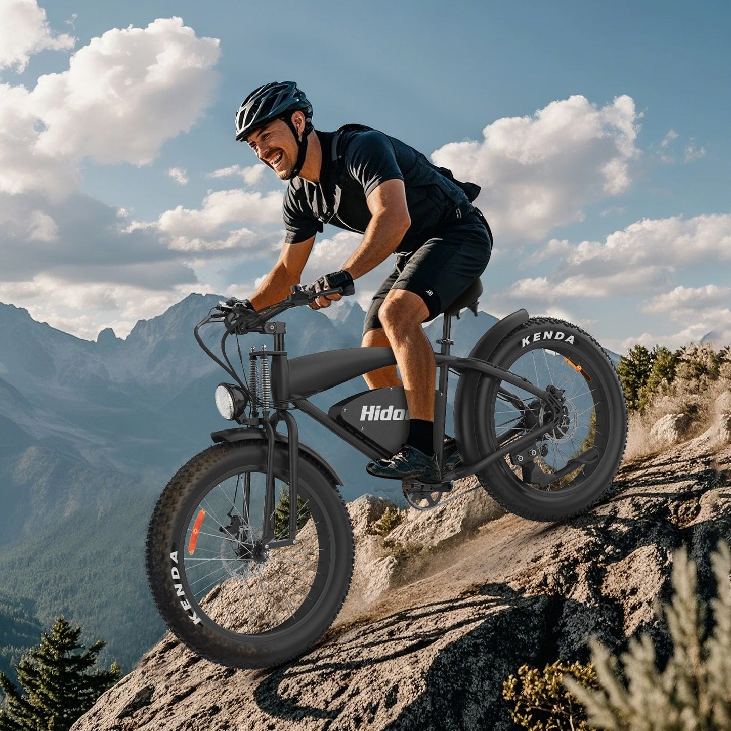 Hidoes B3 Fat Tire All Terrain E Mountain Bike