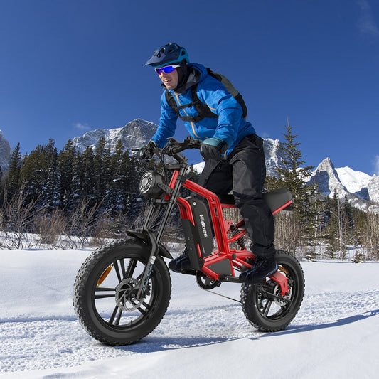 Hidoes B6 Fat Tire Electric Cruiser Bike - WJ HOME