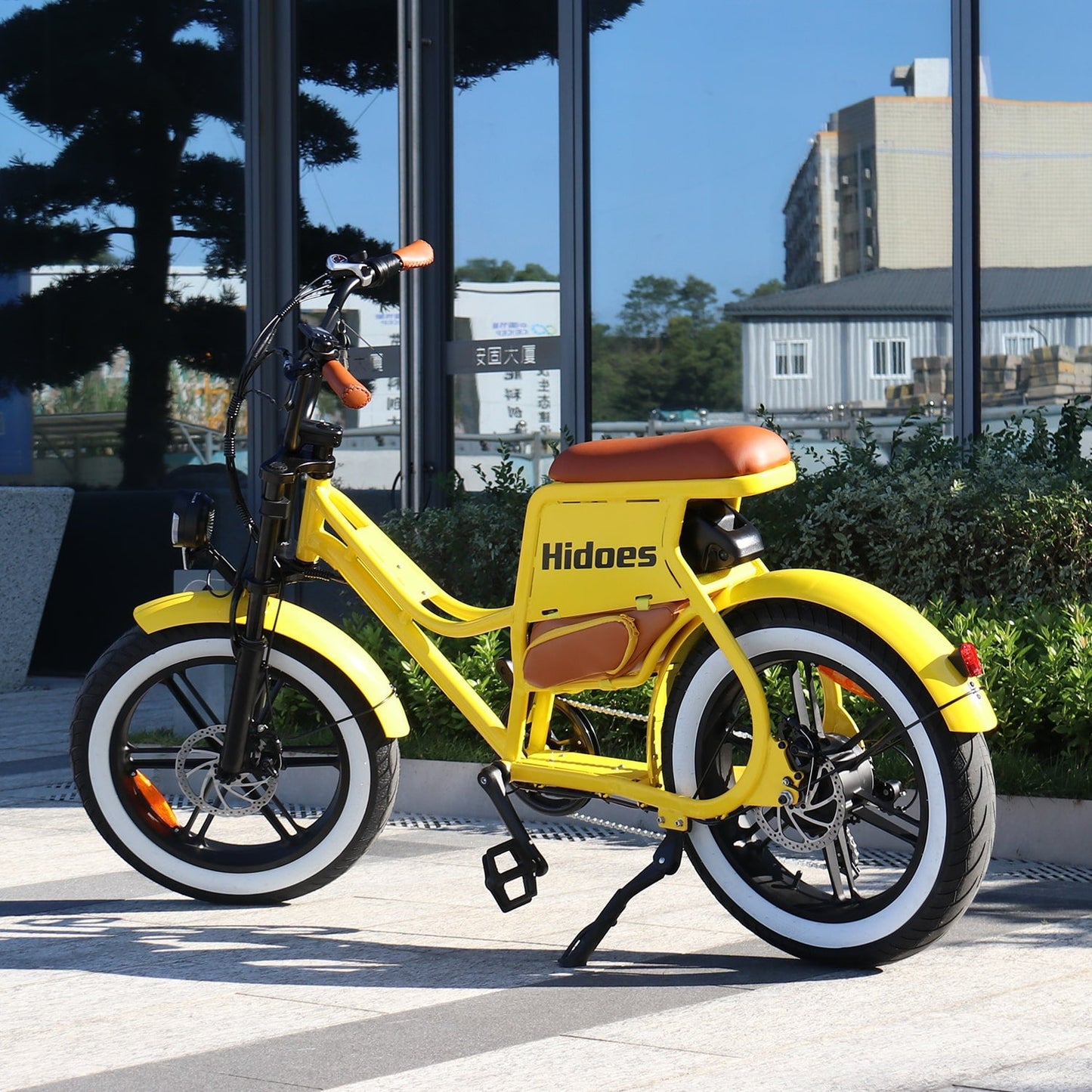 Hidoes C8 Fat Tire Step Through Electric Bike