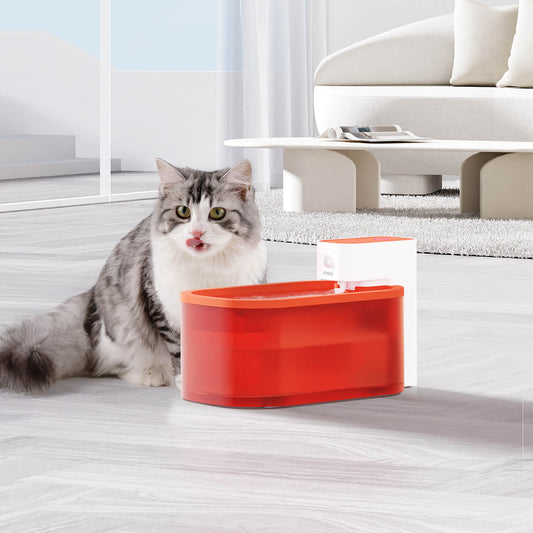 PAWAii Wireless Pet Water Fountain