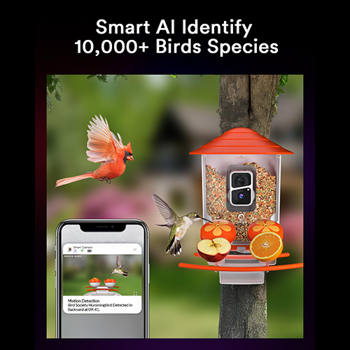 Lumary Smart Bird Feeder with Camera Pro
