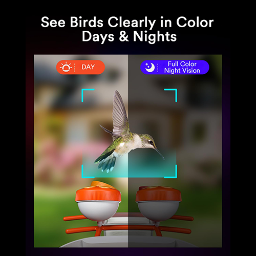 Lumary Smart Bird Feeder with Camera Pro