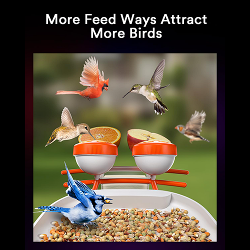 Lumary Smart Bird Feeder with Camera Pro