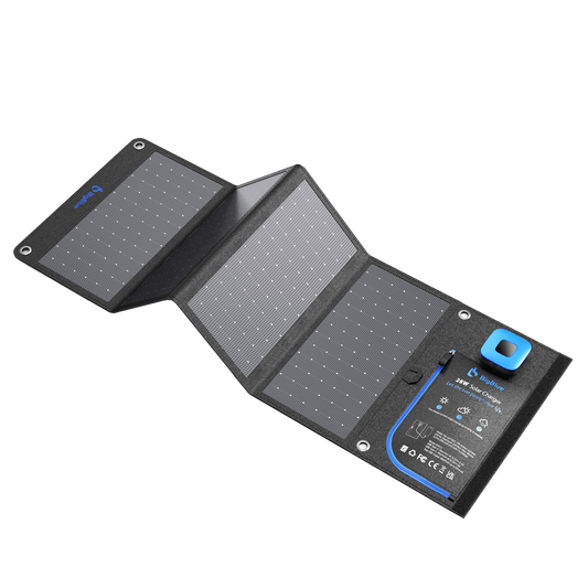 BigBlue SolarPowa 28 (with ammeter)