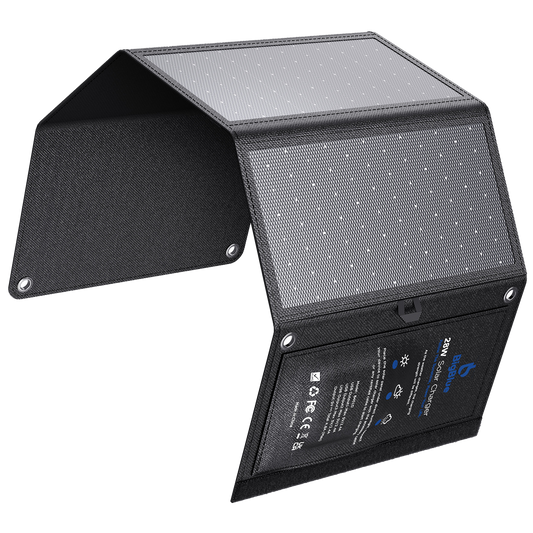 BigBlue SolarPowa 28 (with no ammeter)