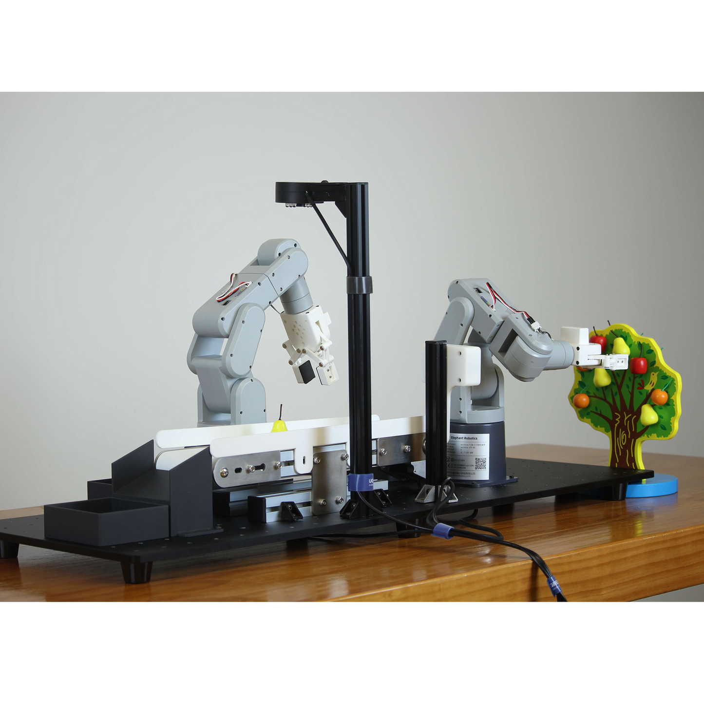 Robotics Education Solution:6-axis Robot with 3D vision