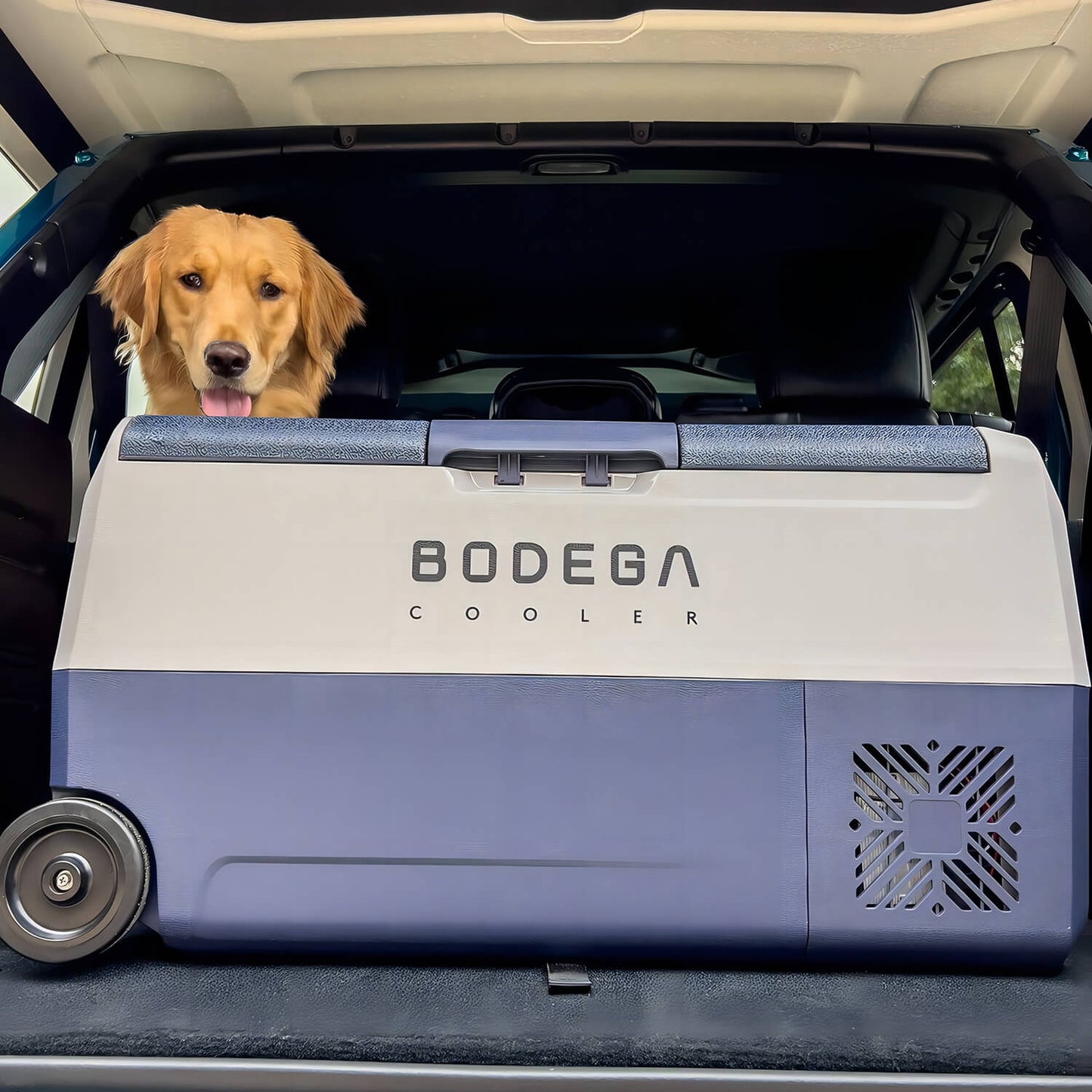 BODEGAcooler 38qt/36L Dual Zone 12V Portable Car Fridge T36
