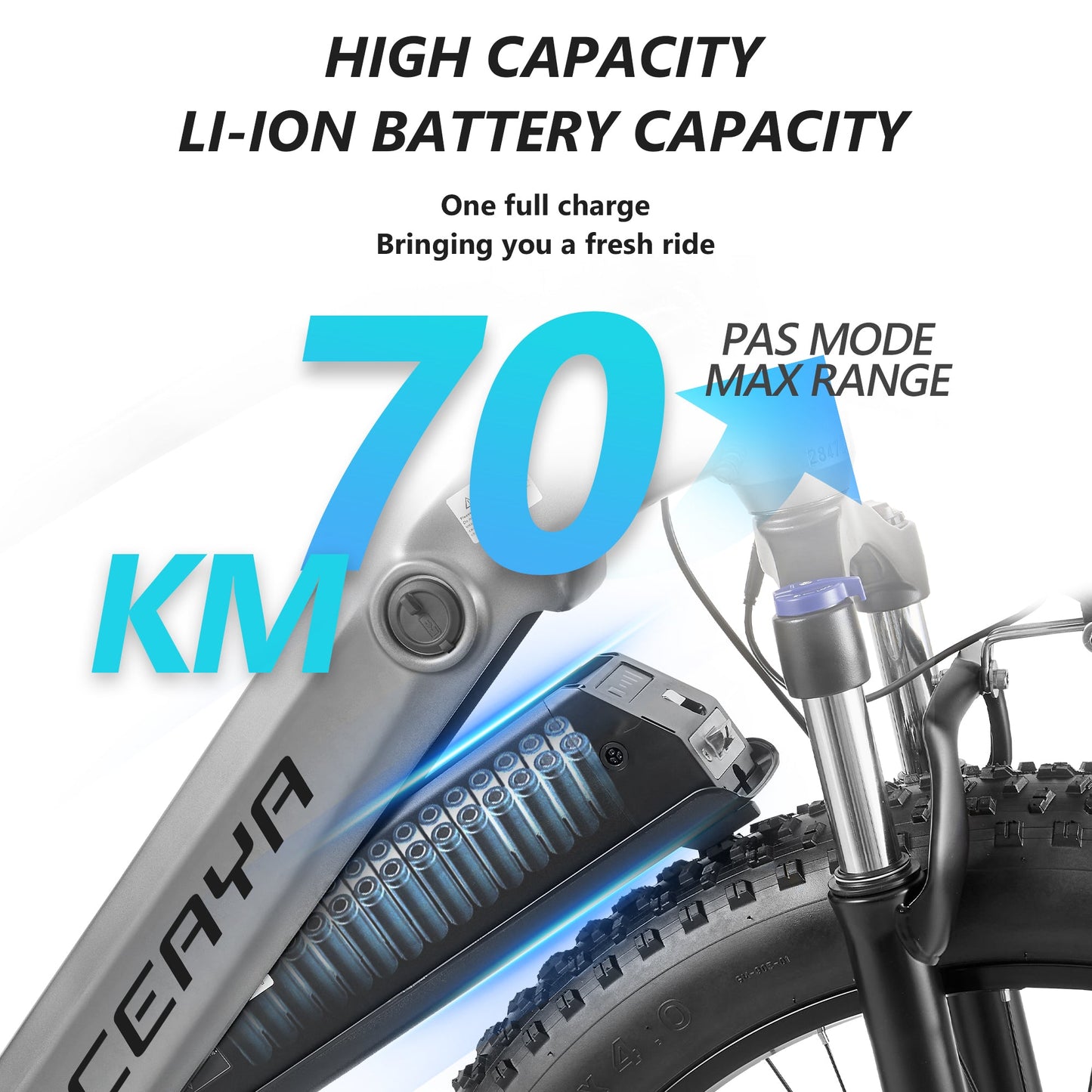 CEAYA Electric Bike RX50