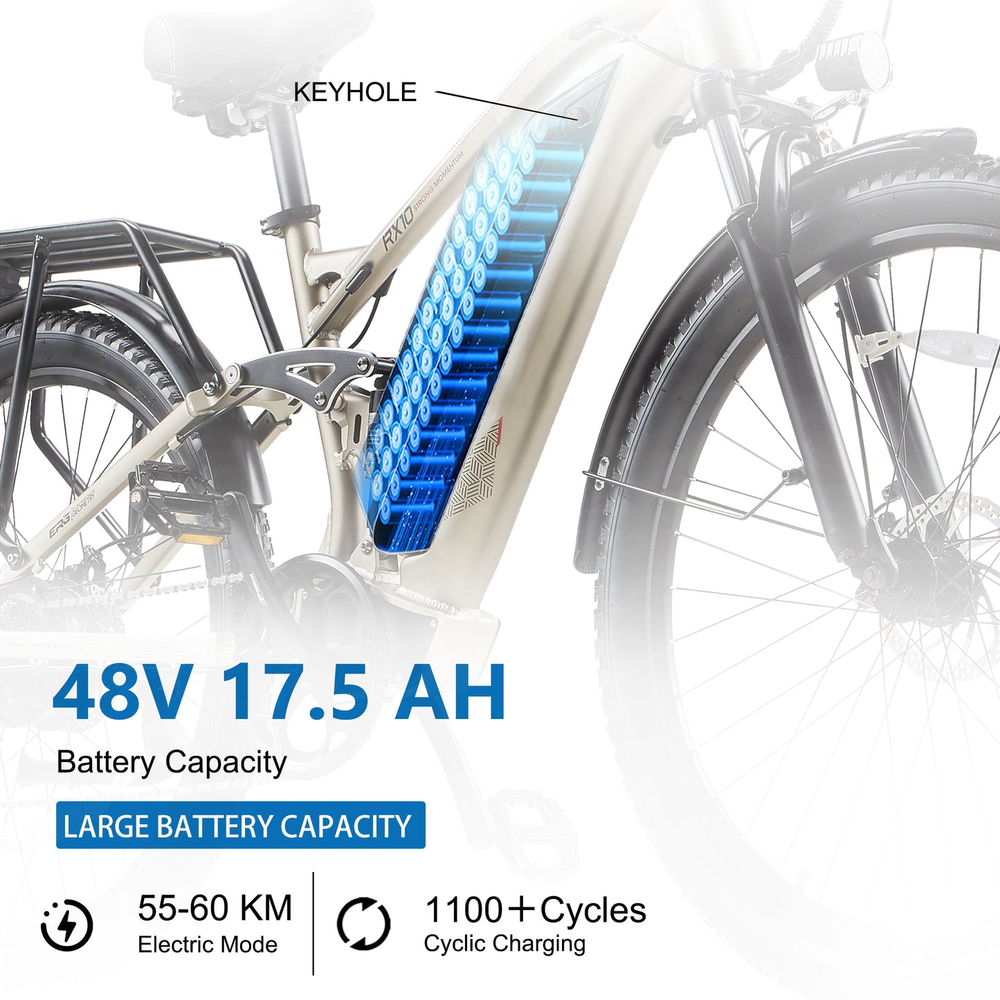 CEAYA Electric Bike RX10