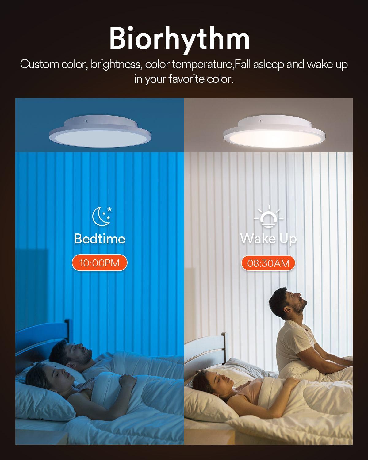 Lumary Wi-Fi Smart Ceiling Light With Ambient Light 24W