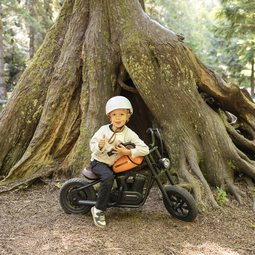Mini Dirt Bike Electric Motorcycle for Kids (6+ Years) with Light, Speaker, Smoke Effect - Challenger 12 Plus