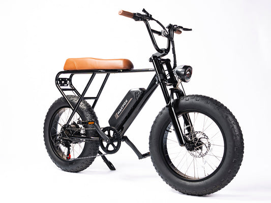 Bicicleta eléctrica de ruedas anchas | Mini Swell eBike M20X