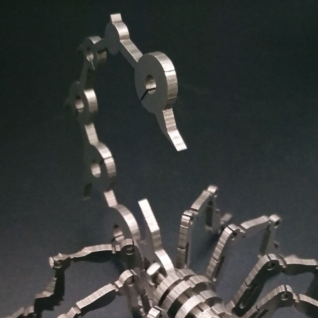 2pcs Little Scorpion & Spider King DIY Stainless Steel Metal Puzzle Model