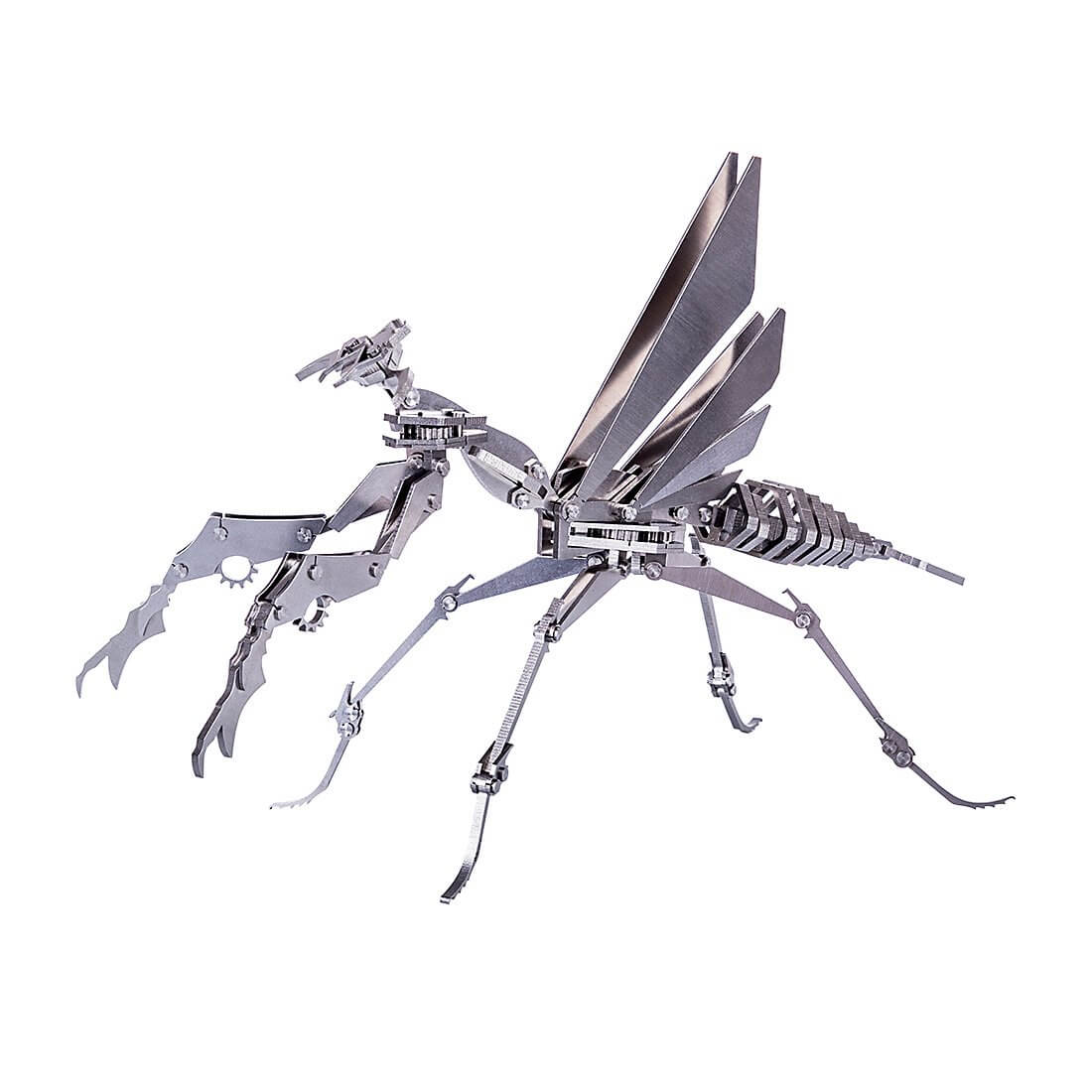 3PCS DIY 3D Mantis Beatles Cicada Assembled Model Puzzle