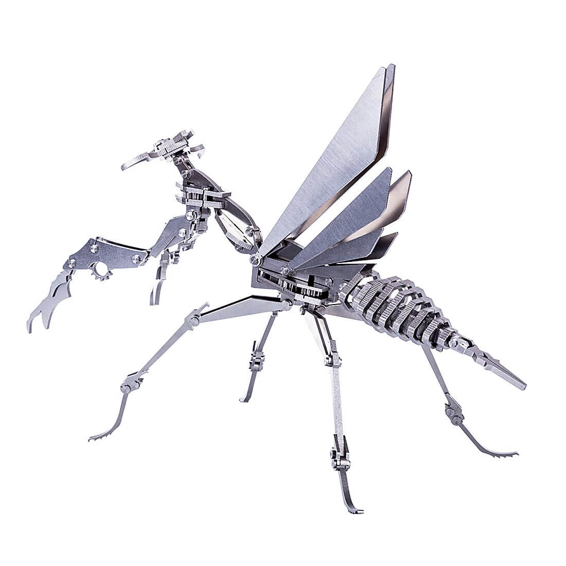 3PCS DIY 3D Mantis Beatles Cicada Assembled Model Puzzle