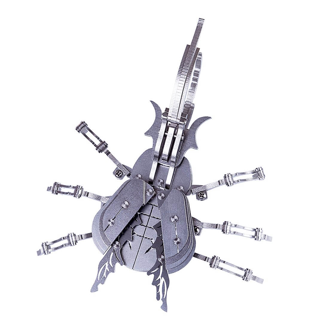 3PCS DIY 3D Mantis Beatles Cicada Assembled Model Puzzle