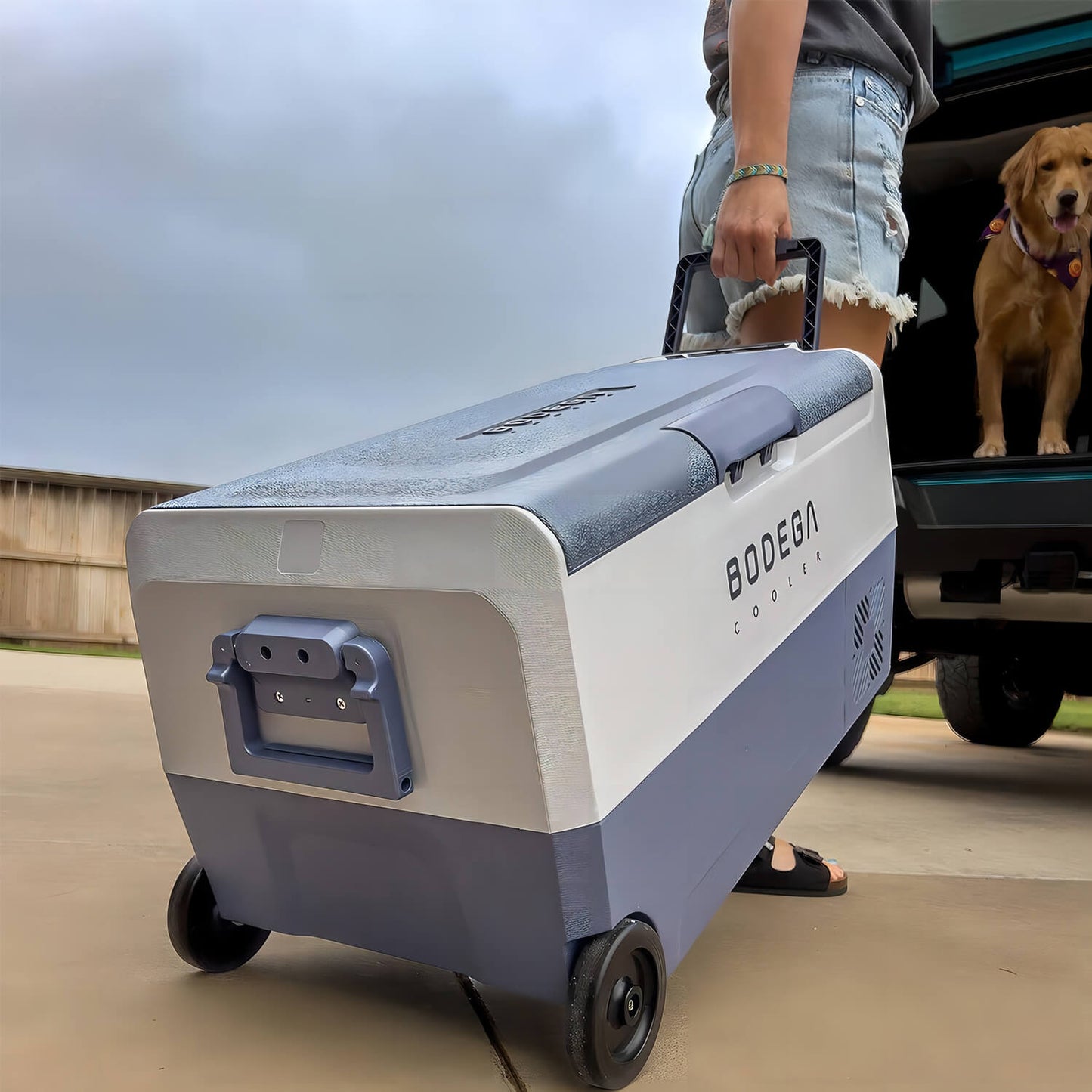 BODEGAcooler 38qt/36L Dual Zone 12V Portable Car Fridge T36