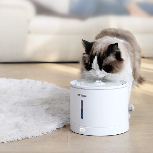 FunFlow UV Sterilization Pet Water Fountain Filter Units