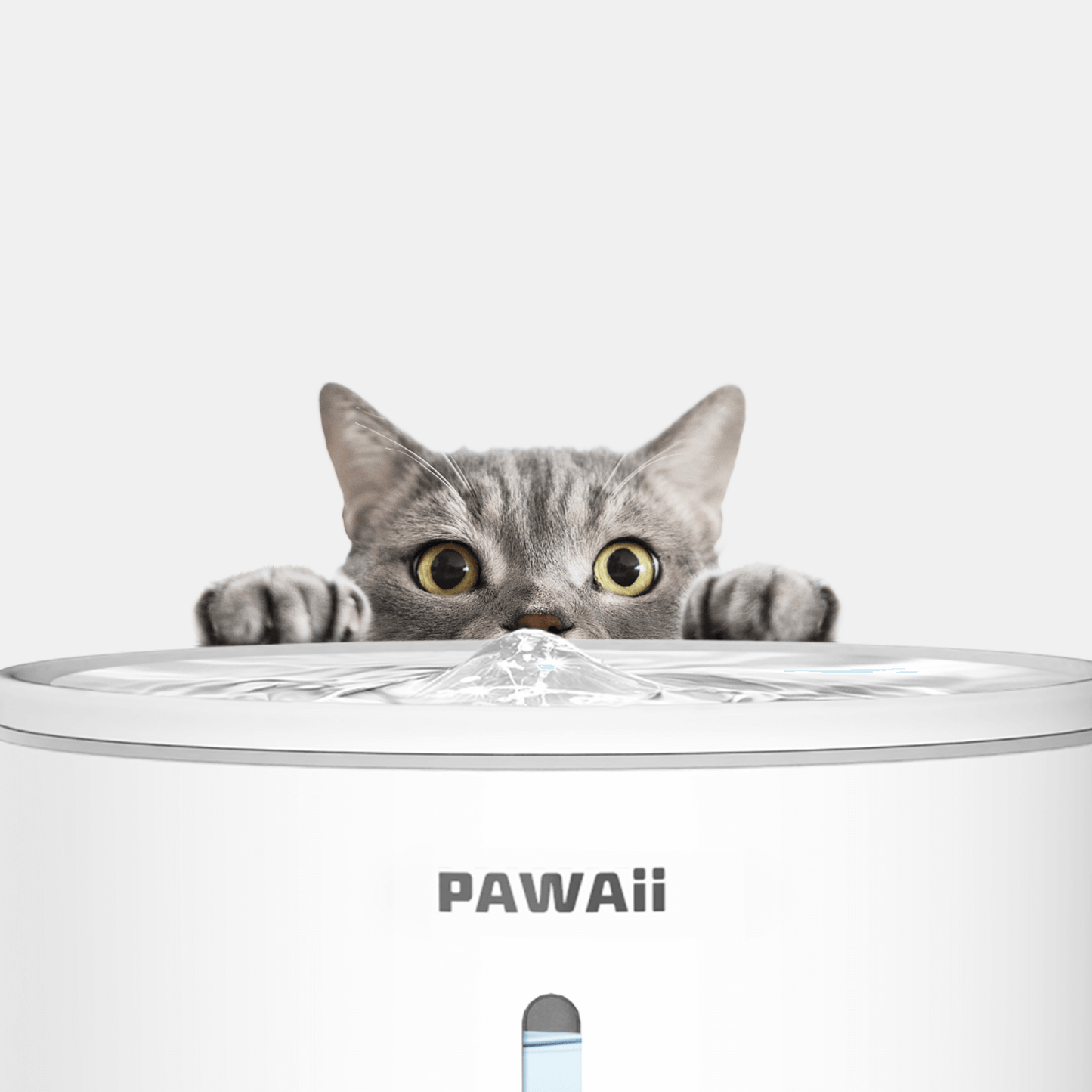 FunFlow UV Sterilization Pet Water Fountain