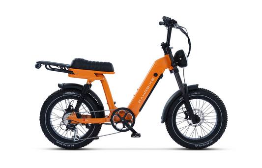 Roadster73 Moped-Style eBike