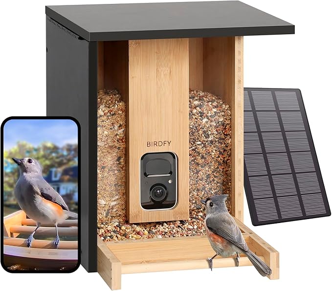 The Best Smart Bird Feeders for Backyard Birding