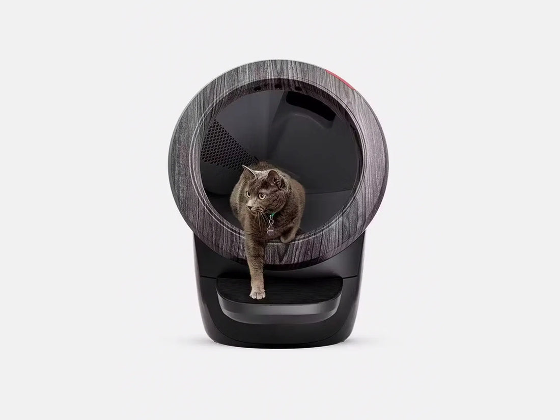 The Best Automatic Cat Litter Boxes