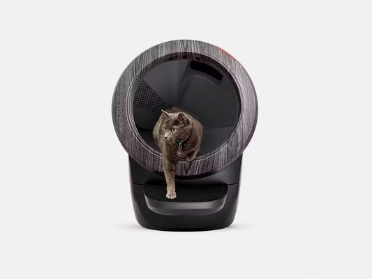 The Best Automatic Cat Litter Boxes